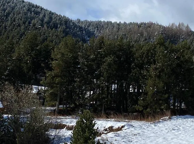 Chalet Au Pieds Des Pistes Le Cambre Aze