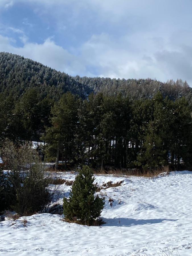 Au Pieds Des Pistes Le Cambre Aze Chalet Bolquere